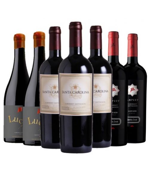 Pack 12 vinos Premium Cabernet Sauvignon Amplus, Santa Carolina y Lucas  - 1