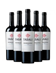 6 vinos Tabali Pedregoso, Syrah , Gran Reserva Viña Tabali