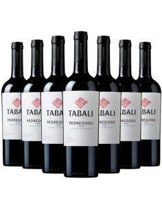 12 botellas Tabali Pedregoso, Syrah , Gran Reserva Viña Tabali