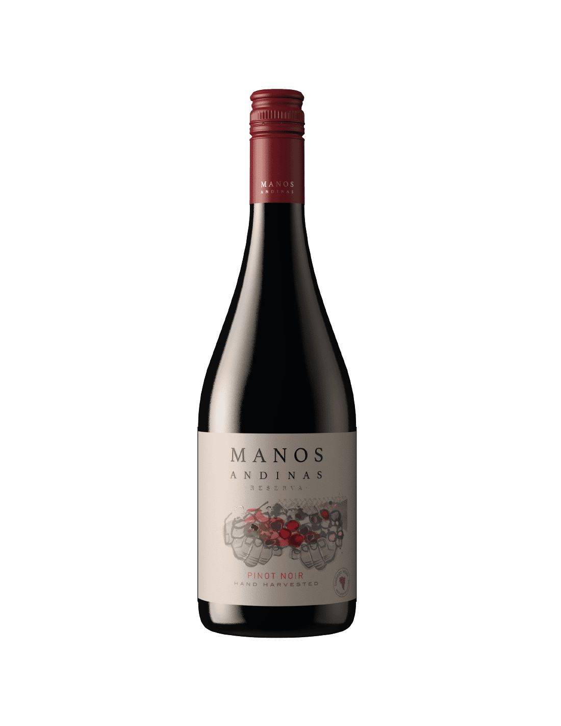 Pinot Noir, Mejor Reserva, Manos Precio Wines Trasiego Andinas, Al