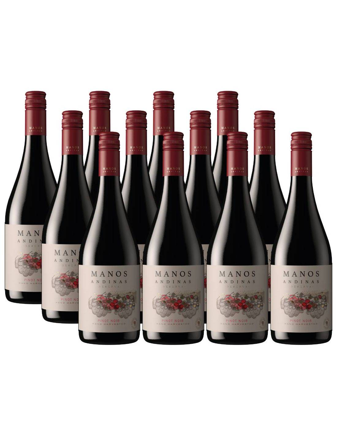 Pack 12 vinos Pinot Noir, Mejor Andinas Precio Reserva, Manos Al