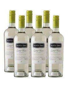 Pack 6 vinos Sauvignon Blanc, Select Terroir, Viña Santa Ema