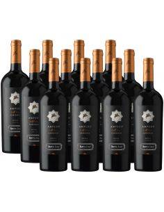 Pack 12 vinos Carignan, Amplus, Premium, Viña Santa Ema