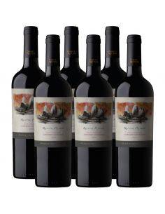 Pack 6 vinos Cabernet Sauvignon, Reserva Privada, Viña Puente Austral, Valle de Colchagua