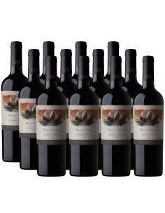Pack 12 vinos Cabernet Sauvignon, Reserva Privada, Viña Puente Austral, Valle de Colchagua