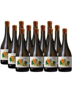 Pack 12 Semillón, Premium,  Maturana Wines, Valle de Colchagua