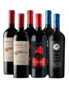 Mix 6 Merlot Reserva-Premium, Aresti, Santa Ema y Bestias Wines