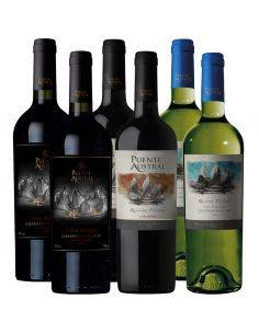Pack 6 Botellas Puente Austral Wines