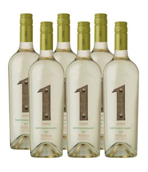 Pack 6 Sauvignon Blanc, Premium, Uno, Valle de Uco, Viña Antigal, Argentina