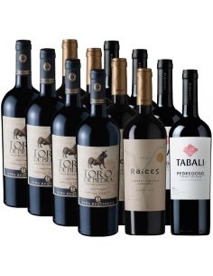 Pack 12 vinos Cabernet Sauvignon Toro de Piedra, Tabali, Raices