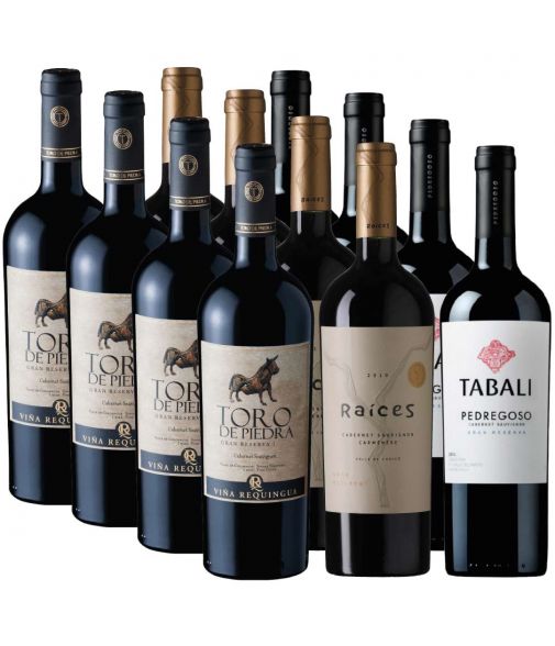 Pack 12 vinos Cabernet Sauvignon Toro de Piedra, Tabali, Raices