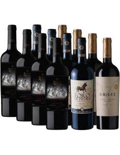 Pack 12 vinos Gran Reserva Puente Austral, Toro de Piedra y Raíces