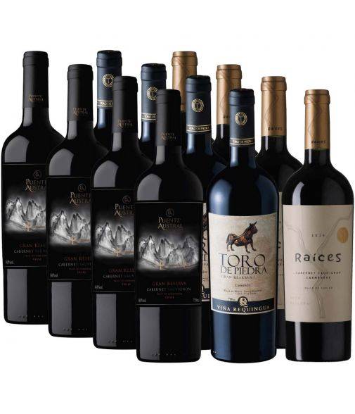 Pack 12 vinos Gran Reserva Puente Austral, Toro de Piedra y Raíces