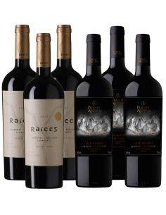 Pack 6 vinos Puente Austral y Raíces Gran Reserva