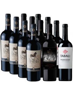 Pack 12 vinos Cabernet Sauvignon Toro de Piedra, Tabali, Puente Austral