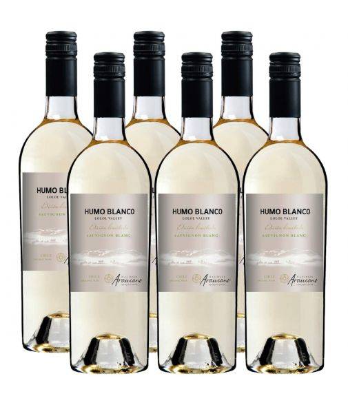 Pack 6 vinos Sauvignon Blanc, Humo Blanco, Francois Lurton