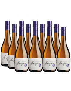 Pack 12 vinos Sauvignon Blanc, Viña Garces Silva, Amayna