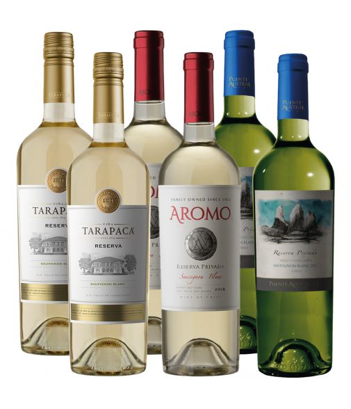 Pack mix 6 vinos Sauvignon Blanc Puente Austral, Aromo, Tarapaca