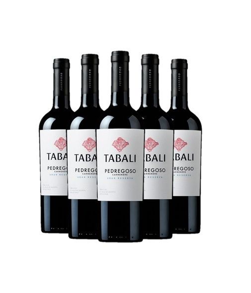 6 vinos Tabali Pedregoso, Carmenere, Gran Reserva Viña Tabali