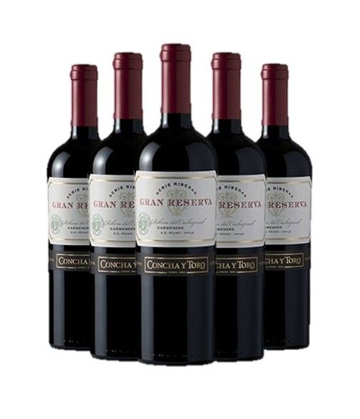 Pack 6 vinos Carmenere, Serie Riberas, Gran Reserva, Viña Concha y Toro Viña Concha y Toro - 1