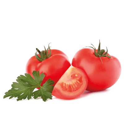 notas de cata Hoja-de-tomate.png 